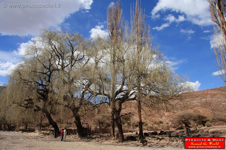 BOLIVIA 2 - Cordillera de Los Frailes - 23.jpg